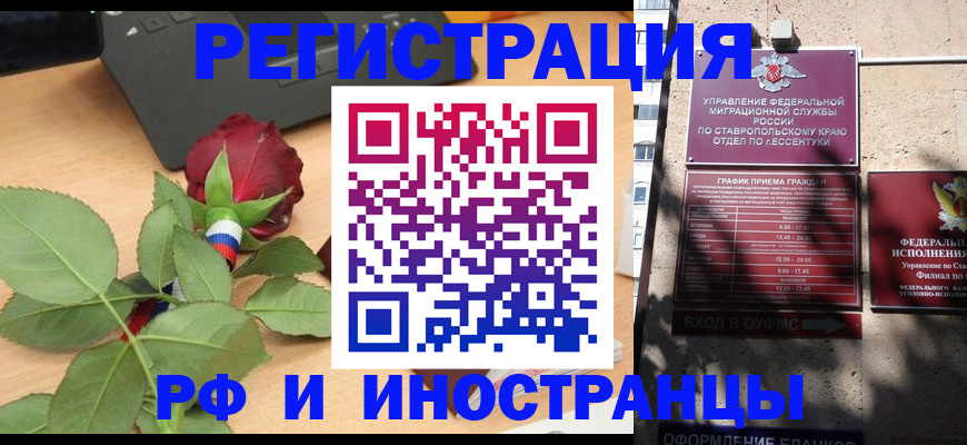 найти адрес прописки в Светогорске